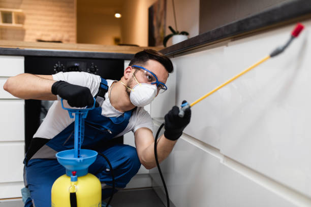 Trusted Greenacres, FL Pest Control Experts