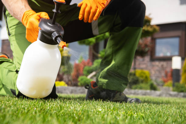 Pest Control for Restaurants in Greenacres, FL