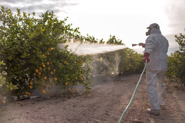 Best Ant Control Services  in Greenacres, FL
