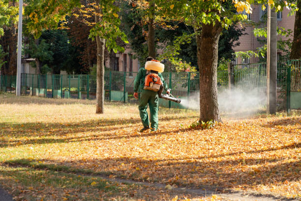 Best Bird Control  in Greenacres, FL