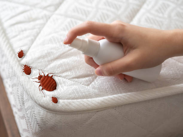 Best Best Pest Control Companies  in Greenacres, FL