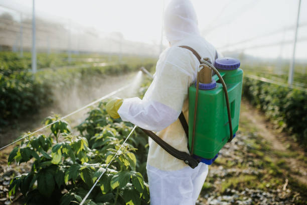 Pest Prevention Services in Greenacres, FL